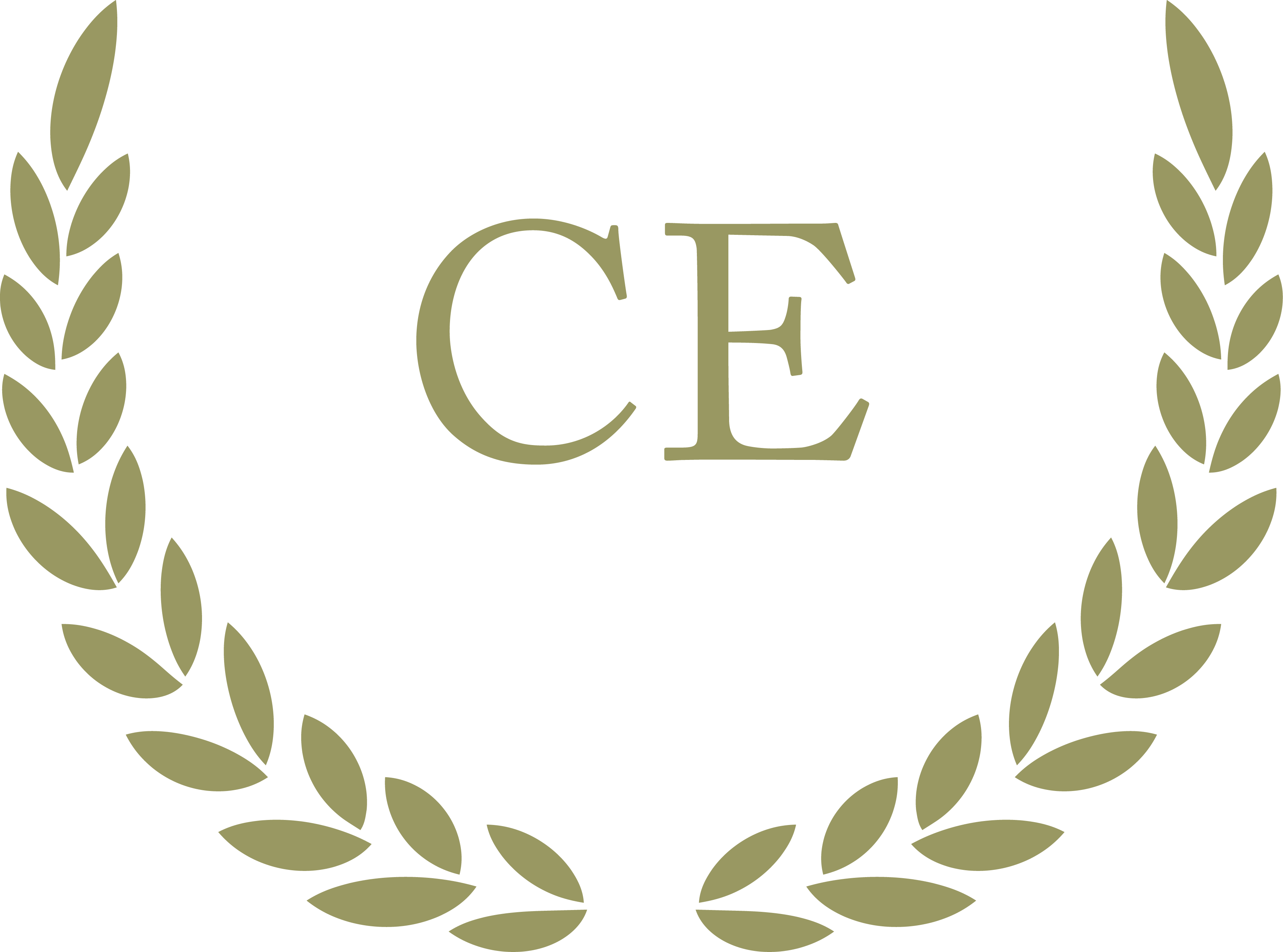 Icona del Premi Nacional de Comunicació Científica