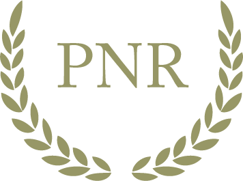 Icona del Premi Nacional de Recerca